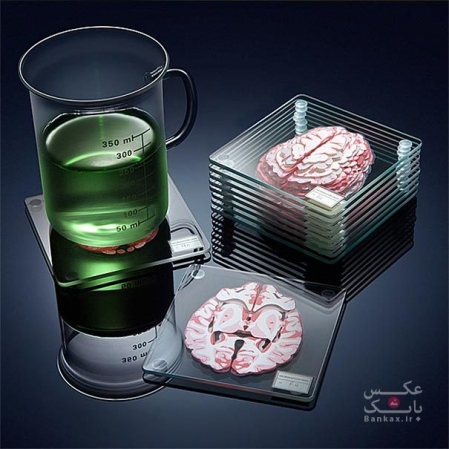 نمونه مغز سه بعدی به عنوان زیرلیوانی