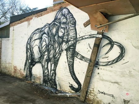 به کار بردن اشکال هندسی در نقاشی حیوانات بر روی دیوار شهرهای رها شده، زندگی را به این شهرها بازگردانده است