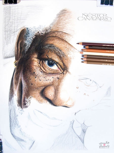 نقاشی ظریف از مورگان فریمن با مداد رنگی که ۵۰ ساعت طول کشید