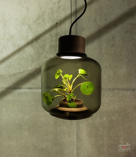 طراحی لامپ هایی برای رشد گیاهان در فضاهای بدون پنجره