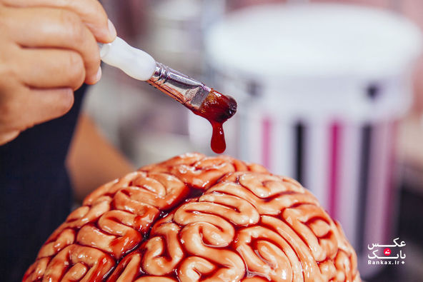 چگونه یک کیک مغز خون آلود برای هالووین درست کنیم./بانک عکس