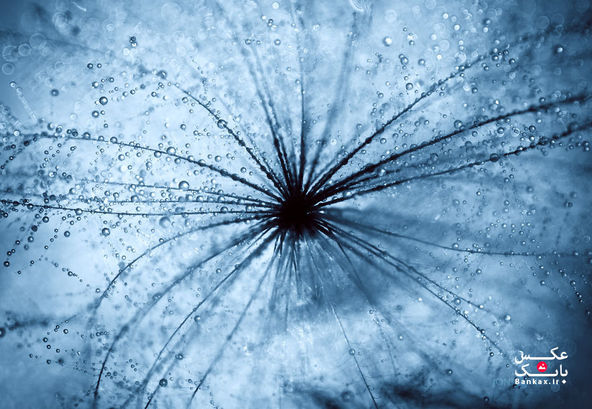عکاسی از کهکشان مینیاتوری از جنس قطرات باران/بانک عکس