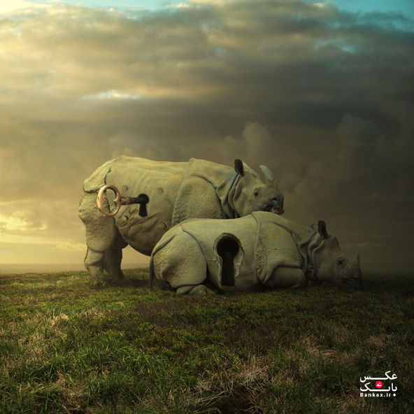 خلق یک جهان سورئال بدون ظلم برای حیوانات/بانک عکس
