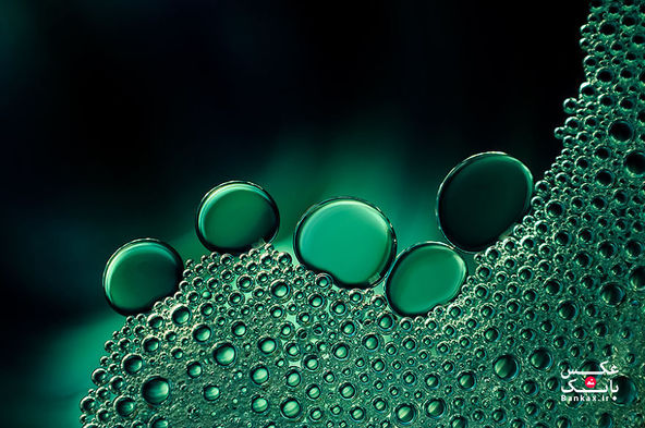 عکسهای زیبایی از قطرات، گرفته شده از طریق لنز ماکرو من/بانک عکس