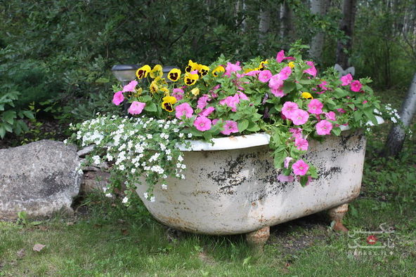 باغچه هایی زیبا با مبلمان قدیمی و کهنه/بانک عکس