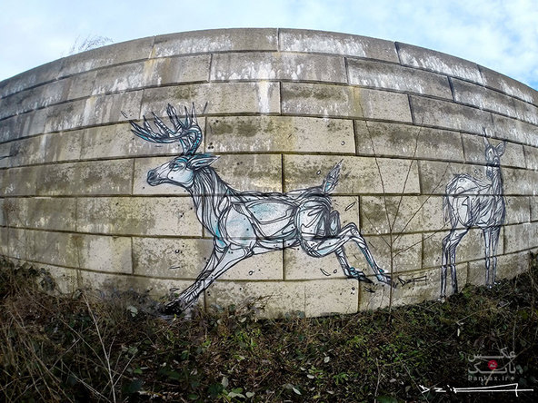 به کار بردن اشکال هندسی در نقاشی حیوانات بر روی دیوار شهرهای رها شده، زندگی را به این شهرها بازگردانده است/بانک عکس