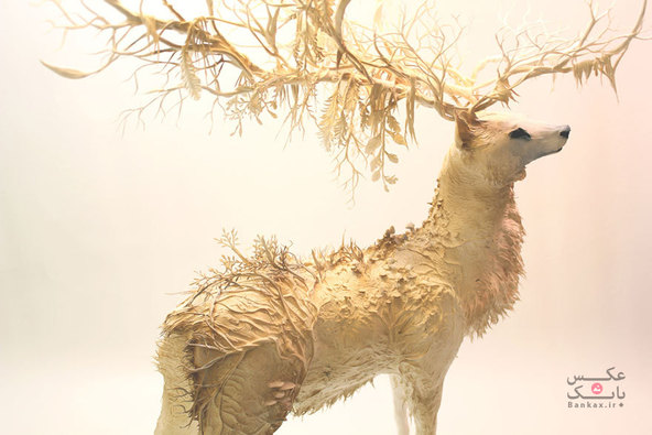یک دنیای جدید در مجسمه سازی، ادغام حیوانات و گیاهان/بانک عکس
