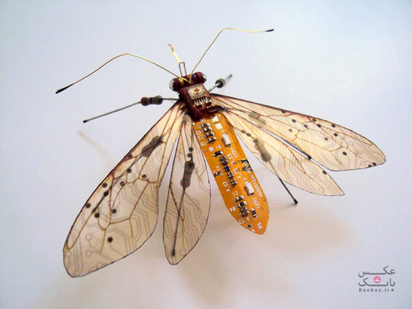 حشرات بالدار ساخته شده از مادربوردهای قدیمی و الکتریسیته/بانک عکس
