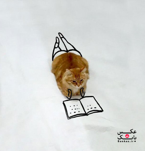 ماجراجوییه گربه در نقاشی/بانک عکس