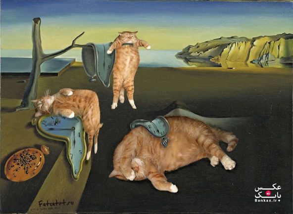 گربه چاق وارد شده در نقاشی های مشهور/بانک عکس