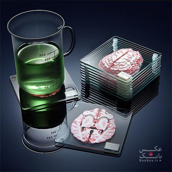 نمونه مغز سه بعدی به عنوان زیرلیوانی/بانک عکس