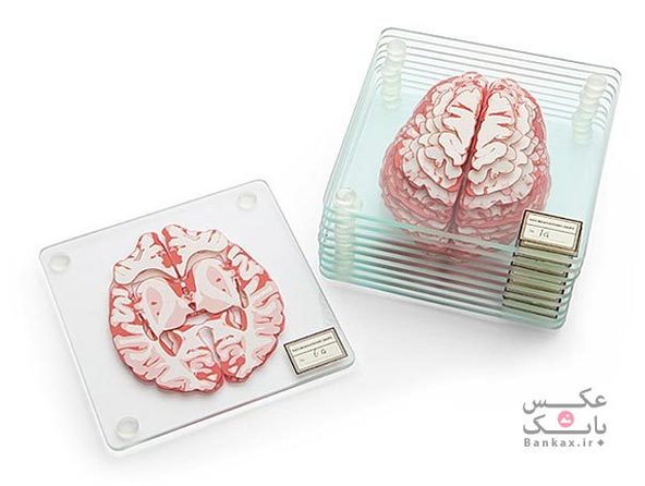 نمونه مغز سه بعدی به عنوان زیرلیوانی/بانک عکس