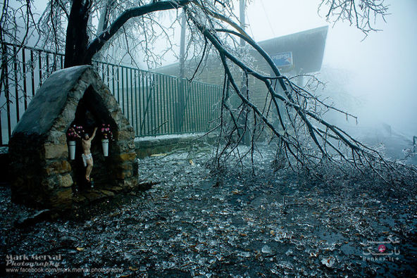 انجماد بوداپست پس از مه یخی/بانک عکس