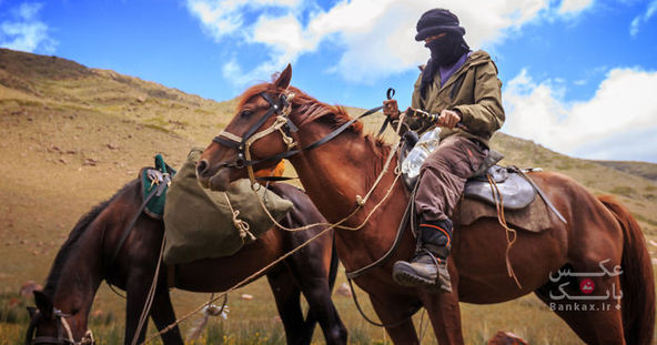 سفر به قرقیزستان با 2 اسب، در 6 هفته/بانک عکس