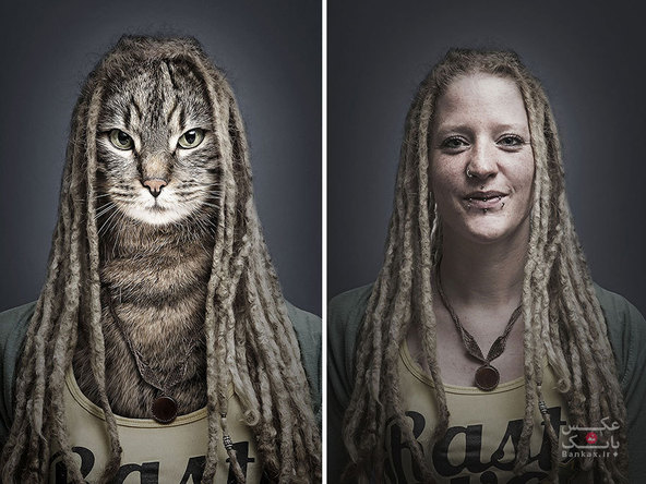 گربه در لباس صاحبانشان/بانک عکس