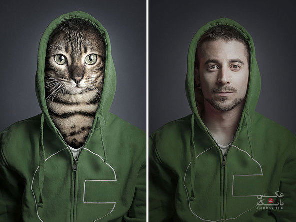 گربه در لباس صاحبانشان/بانک عکس