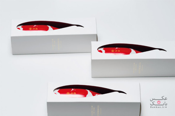 طراحی بسته بندی با طرح ماهی کوی توسط Bullet/بانک عکس