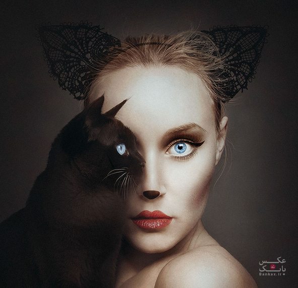 تبدیل چهره هنرمندان به حیوانات/بانک عکس
