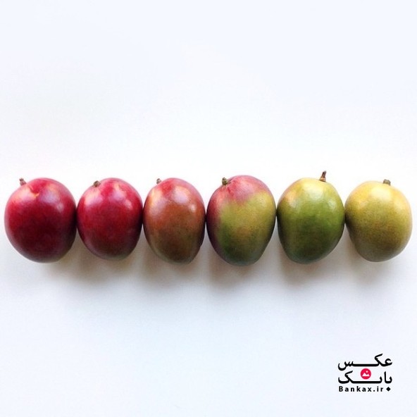 ساخت طیفی از رنگها با میوه/بانک عکس