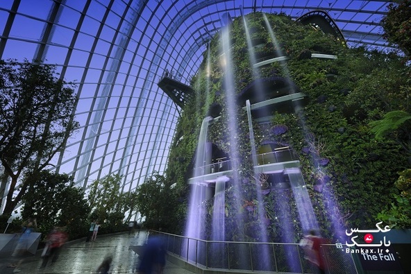 بزرگترین جنگل و آبشار مصنوعی جهان در سنگاپور/بانک عکس