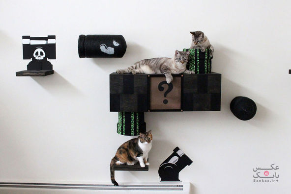 تبدیل اتاق خواب به جهانی جالب برای گربه ها/بانک عکس