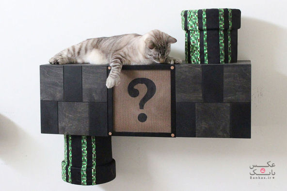 تبدیل اتاق خواب به جهانی جالب برای گربه ها/بانک عکس