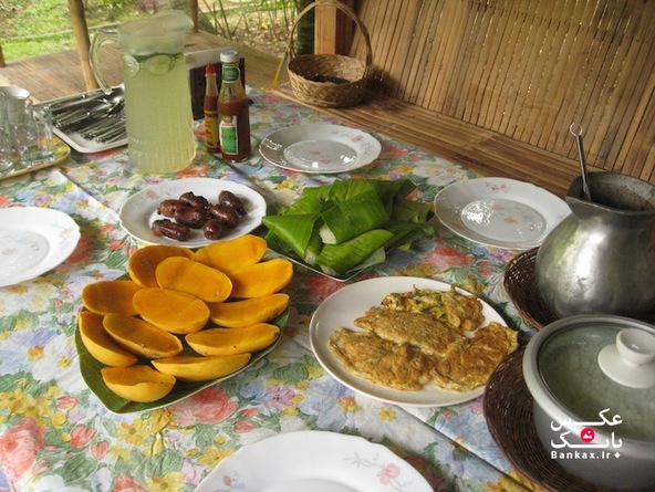 صبحانه منحصر به فرد ملل مختلف/بانک عکس/فیلیپین - میوه های محلی همچون انبه، برنج و سوسیس های کوچک. این سوسیس ها با نمک و سیر سرخ می شوند و با تخم مرغ، گوشت و لوبیا ترکیب می شوند