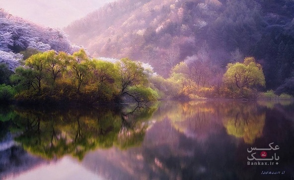 مناظر طبیعی کره جنوبی و بازتاب آنها در آب دریاچه/بانک عکس