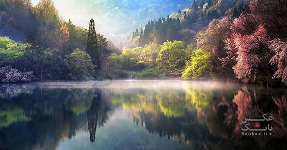 مناظر طبیعی کره جنوبی و بازتاب آنها در آب دریاچه/بانک عکس