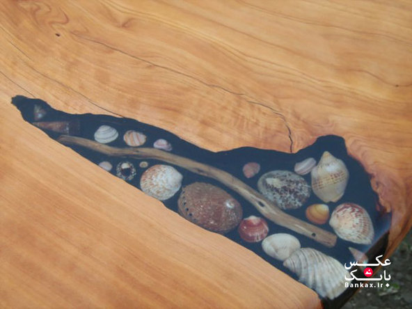 تزئین شکاف میزهای چوبی با صدف، سنگ و ستاره دریایی/بانک عکس