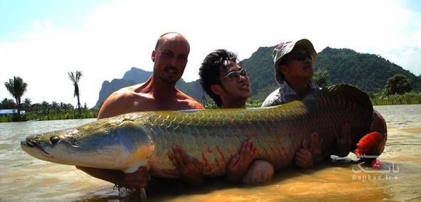 بهترین دریاچه برای ماهیگیری در دنیا/بانک عکس