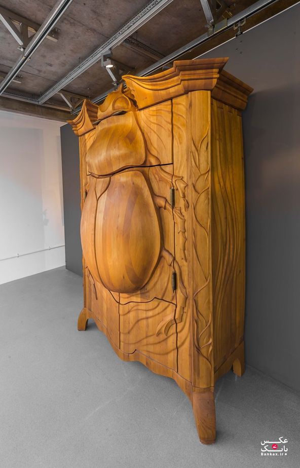 کنده کاری چوب کابینت به شکل سوسک غول پیکر/بانک عکس